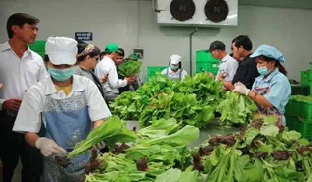 Tiêu chí lựa chọn nhà cung cấp thực phẩm cho bếp ăn công nghiệp